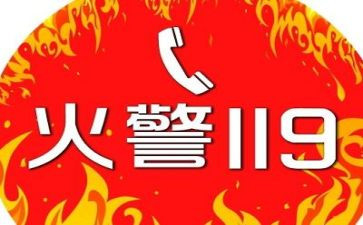 县开展119活动总结参考7篇