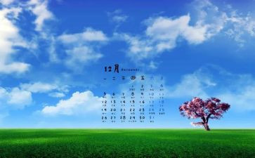 12月中班月工作总结5篇
