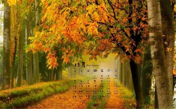 大班12月份月总结5篇