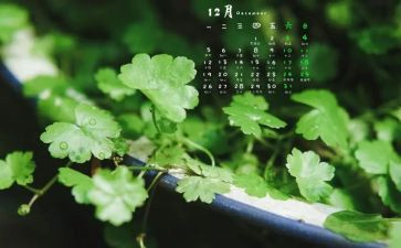 12月酒个人工作总结8篇