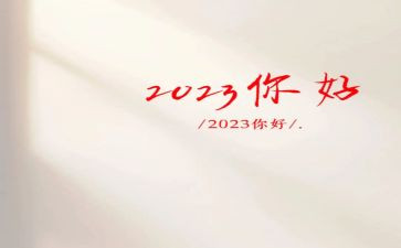 2023医生个人年终工作总结优质6篇