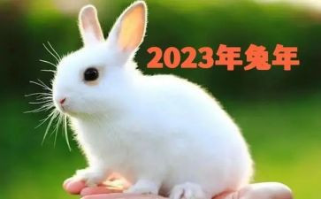 2023汽车销售调查报告6篇