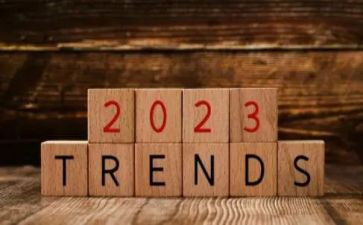 2023语文教师个人总结8篇