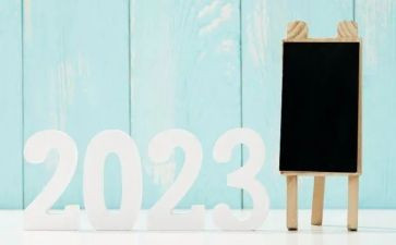 2023驻村干部述职报告优质5篇