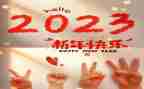 2023案场客服个人总结优秀5篇