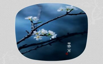 2023年2月教师月总结7篇