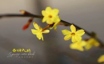 2023年2月村安全总结6篇