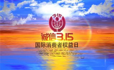 315总结报告参考7篇