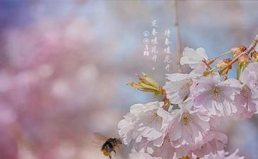 大班3月份月总结5篇