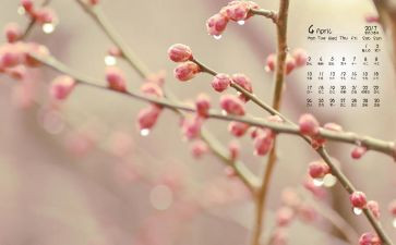 幼儿园4月安全总结7篇