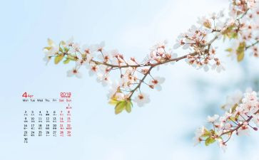 工会工作计划2024月计划优秀5篇