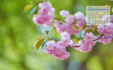 4月份演讲稿7篇