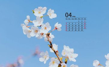 4月分安全生产工作总结7篇