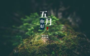 村5月安全生产工作总结5篇