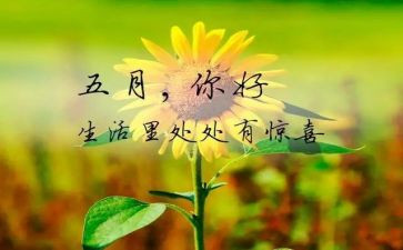 5月活动活动总结5篇