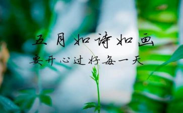 镇5月份安全工作总结7篇