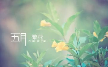 5月20活动总结精选5篇