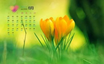 6月份安全生产活动总结8篇