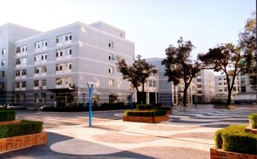 985大学申请书优秀5篇