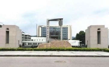 985大学申请书参考5篇