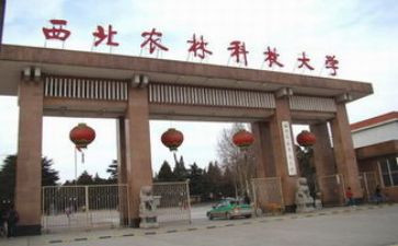 985大学申请书优质8篇