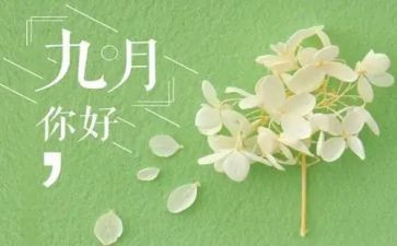2023年9月份月总结8篇