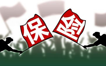 安康险活动总结7篇