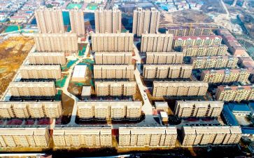 安置点申请书5篇