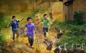 八零后述职报告推荐5篇