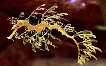 生物教师考核总结7篇