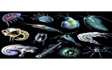 2023生物教研工作计划精选5篇
