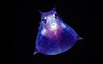 生物教师工作个人总结7篇