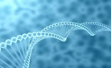 七上生物教师工作计划优秀7篇