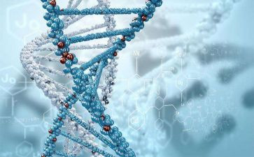 生物坊心得体会推荐6篇