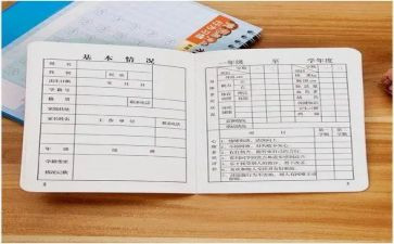 报告册个人总结最新6篇