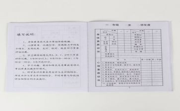 报告册个人总结精选6篇