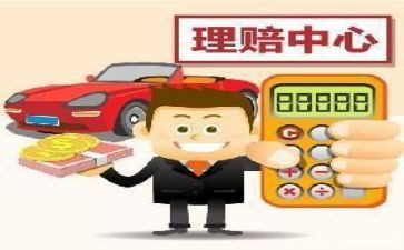保险公司年个人总结优质5篇