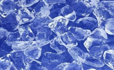 《卧冰求鲤》读后感5篇