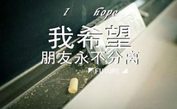 职毕业总结报告5篇