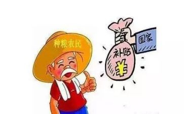 申请补贴书范文8篇