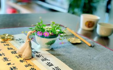 与众不同的我作文5篇