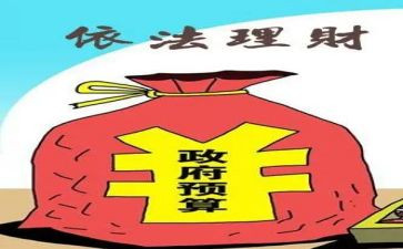 财政所会计工作总结6篇