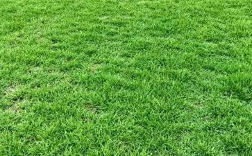 草原小木屋的读后感精选6篇