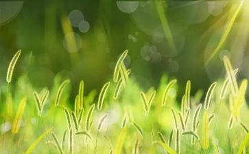 草船借箭读后感600字8篇
