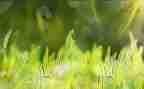 摘草莓的活动方案5篇