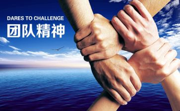 主题活动方案策划最新5篇