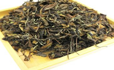 茶培训心得体会6篇