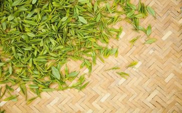 茶企业财务年度工作总结5篇