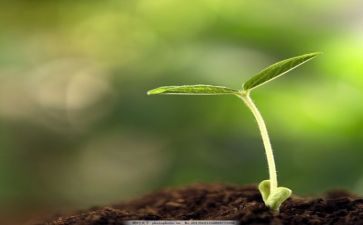 成长的述职报告5篇