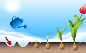 写成长作文模板5篇